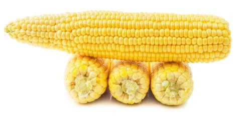 Corns on the cob isolated Stock Photos