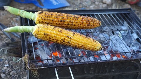 Corns cooking Stock Footage 93555203