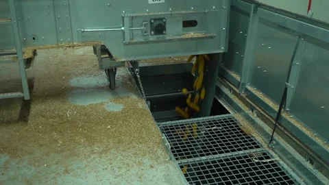 Corns goes down in plant surrounded by a lot of grinding and husks Stock Footage 120387617