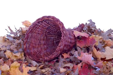 Cornucopia and leaves Stock Photos