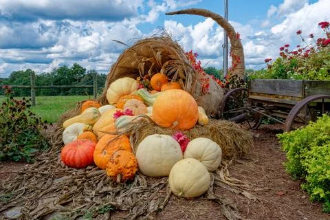 Cornucopia autumn display Stock Photos