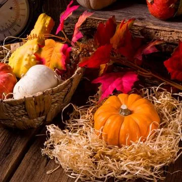 Cornucopia Cornucopia Copyright: xZoonar.com/DariusxDzinnikx 9995626  Stock Photos