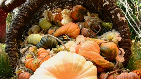 Cornucopia of Fall Holiday Items Stock Footage 31335312
