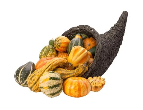 Cornucopia gourds isolated with clipping path Stock Photos