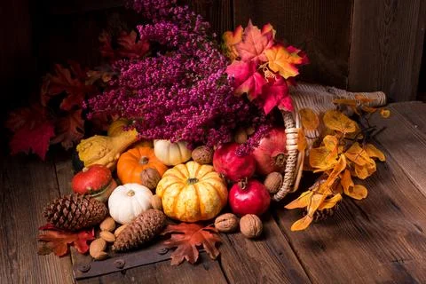Cornucopia Stock Photos