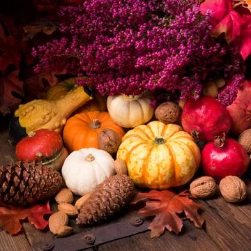 Cornucopia Stock Photos