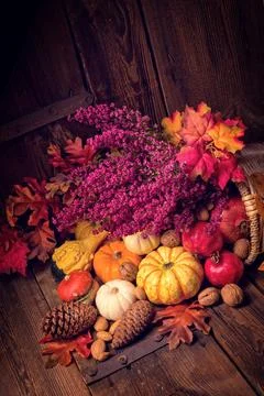 Cornucopia Stock Photos