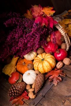 Cornucopia Stock Photos