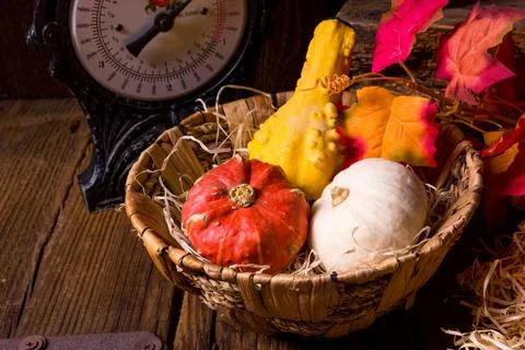 Cornucopia Stock Photos