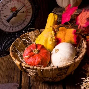 Cornucopia Stock Photos