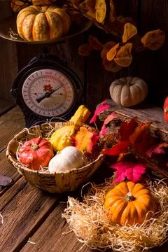 Cornucopia Stock Photos