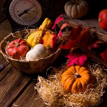 Cornucopia Stock Photos