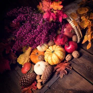 Cornucopia Stock Photos