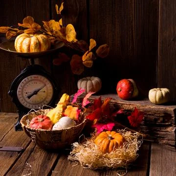 Cornucopia Stock Photos