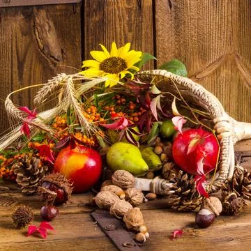 Cornucopia Stock Photos
