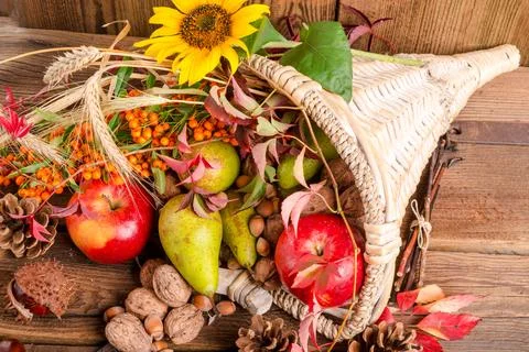 Cornucopia Stock Photos