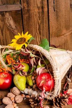 Cornucopia Stock Photos