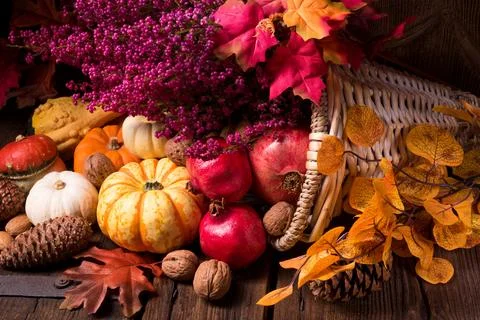 Cornucopia Stock Photos