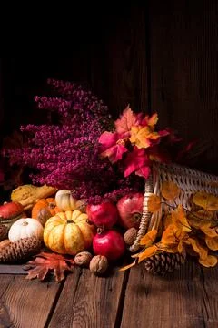 Cornucopia Stock Photos