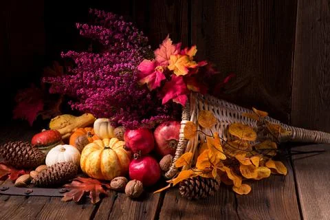 Cornucopia Stock Photos