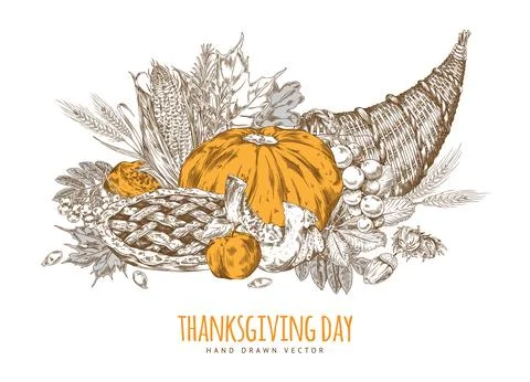 Cornucopia with pumpkin, pie, apple, leaves,corn and nuts vector illustration. Stock Illustration