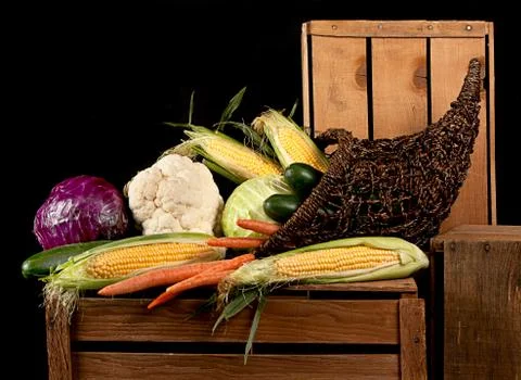 A cornucopia of vegtables Stock Photos