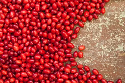 Cornus mas berries Stock Photos