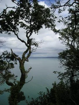 Cornwall Coast Fotos Stock