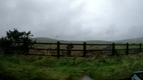 Cornwall Countryside Vidéo 162175155