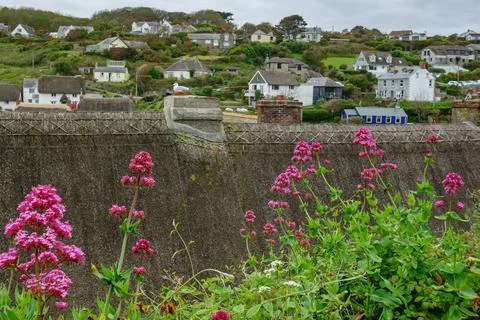 Cornwall in england Fotos Stock