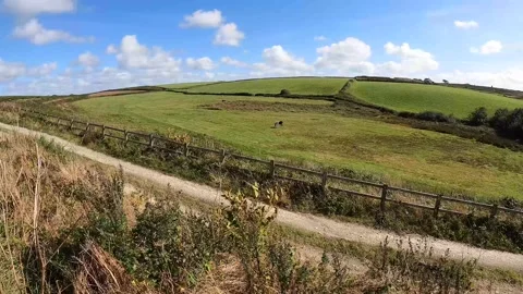 Cornwall Field 4k Stock Footage 162117967