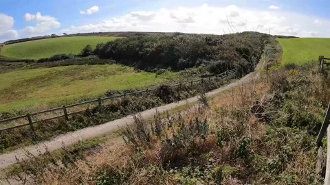 Cornwall Field Stock Footage 162118006