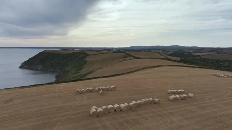 Cornwall Fields and Farms from a drone, Polruan, Cornwall, England Stock Footage 343790973