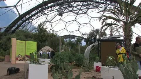 Cornwall, Great Britain Видео 21789261