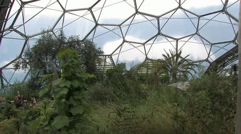 Cornwall, Great Britain Vídeos de archivo 21789305