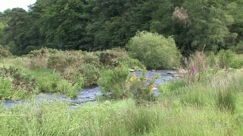 Cornwall, Great Britain 스톡 동영상 21791098