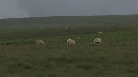 Cornwall, Great Britain Stock-Footage 21791317