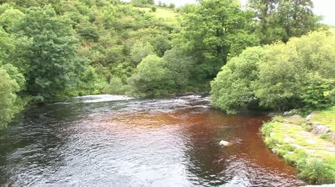 Cornwall, Great Britain 動画素材 21791724