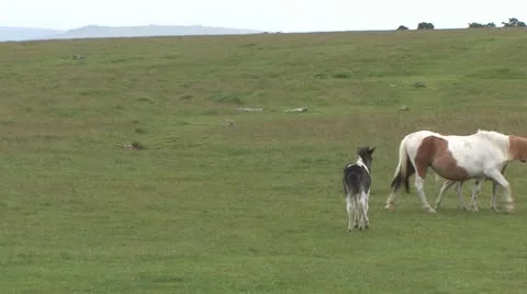 Cornwall, Great Britain Stockbeeldmateriaal 21793105