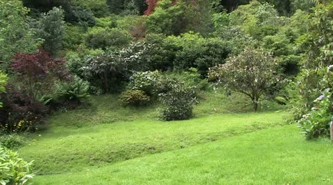 Cornwall, Great Britain 動画素材 21796636