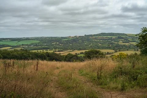 Cornwall landscape featuring rolling hills and patchwork fields. Stock-Fotos