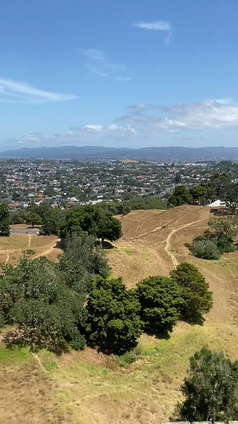 Cornwall park in Auckland Stock Footage 344046681