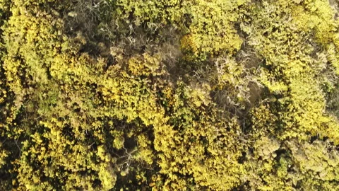 Cornwall Sea Reveal Stock Footage 154024839