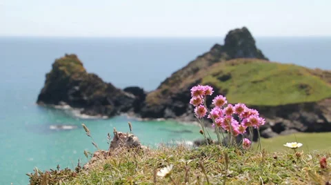 Cornwall's landscape Stock Footage 35687969