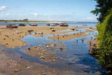 Coroa Beach Brazil Stock Photos