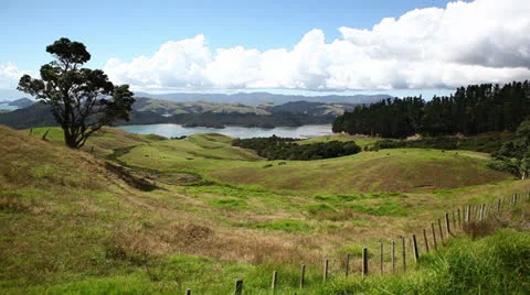 Coromandel Landscape Stock Footage 25898662