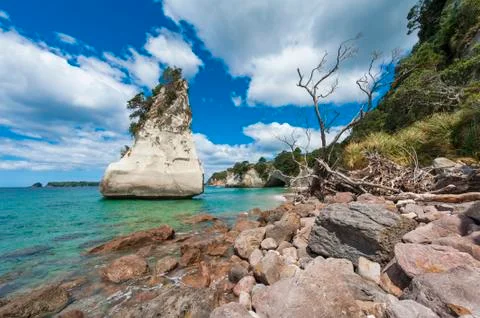 Coromandel Foto stock