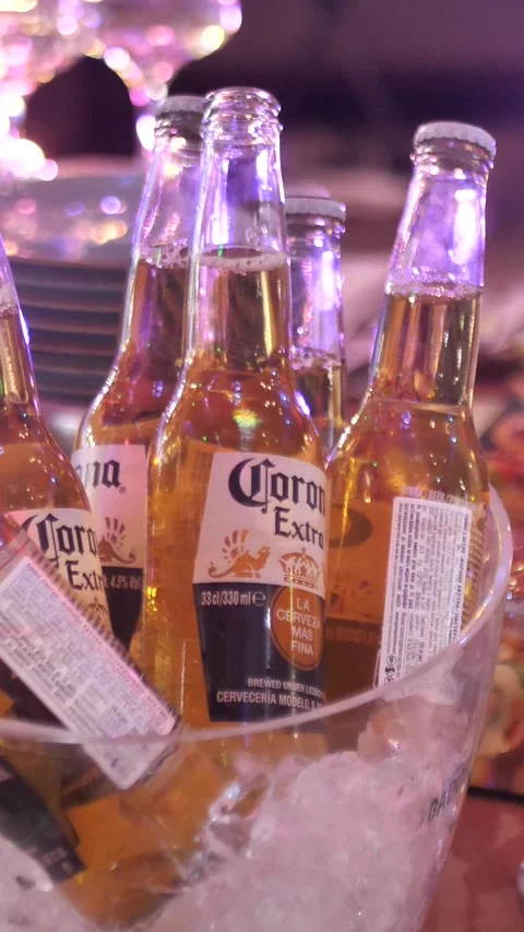 Corona Extra beer in glass bottles in a container with ice at a party Stock Footage 301403950