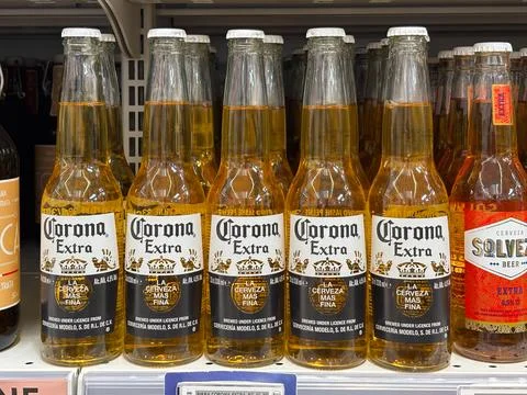 Corona Extra beer  写真素材