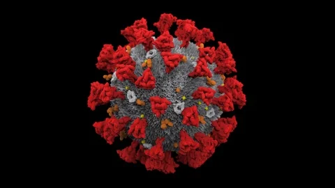 Corona virus 3D spins multi-view with Alpha channel matte Stock Footage 124090294